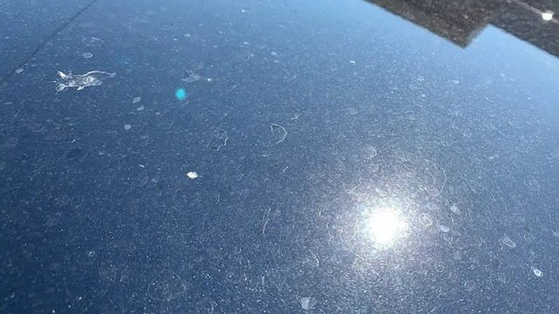 Sunlight flaring off a glossy black hood after ceramic coating