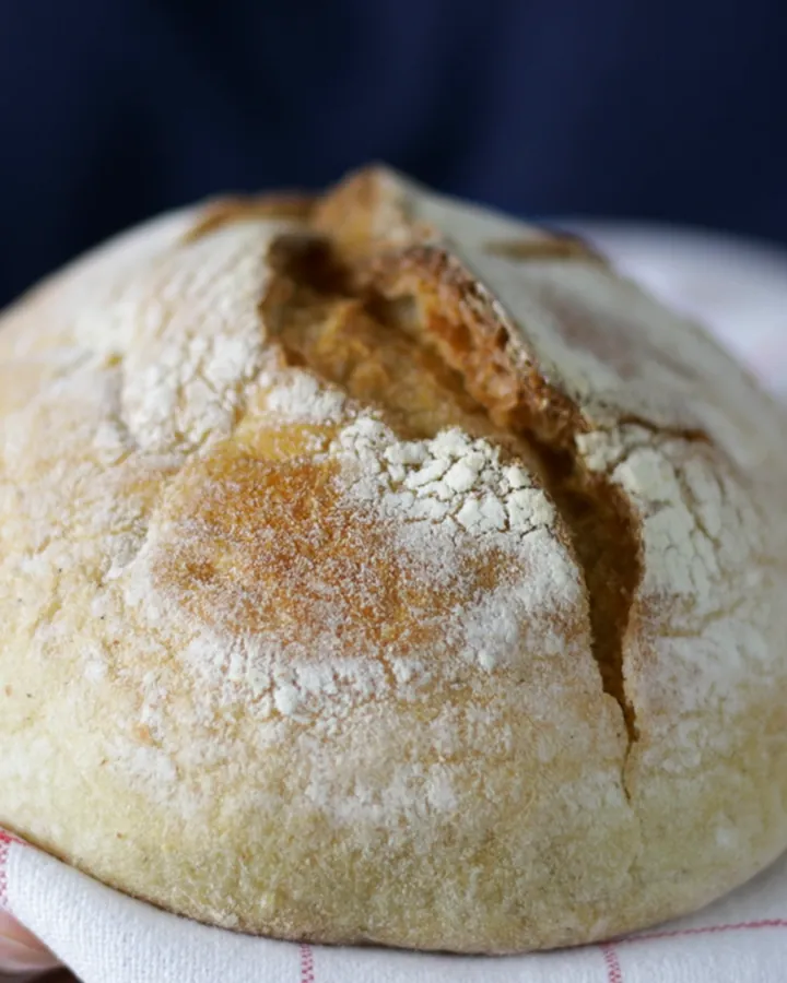 A round loaf of semolina bread held in a kitchen towel