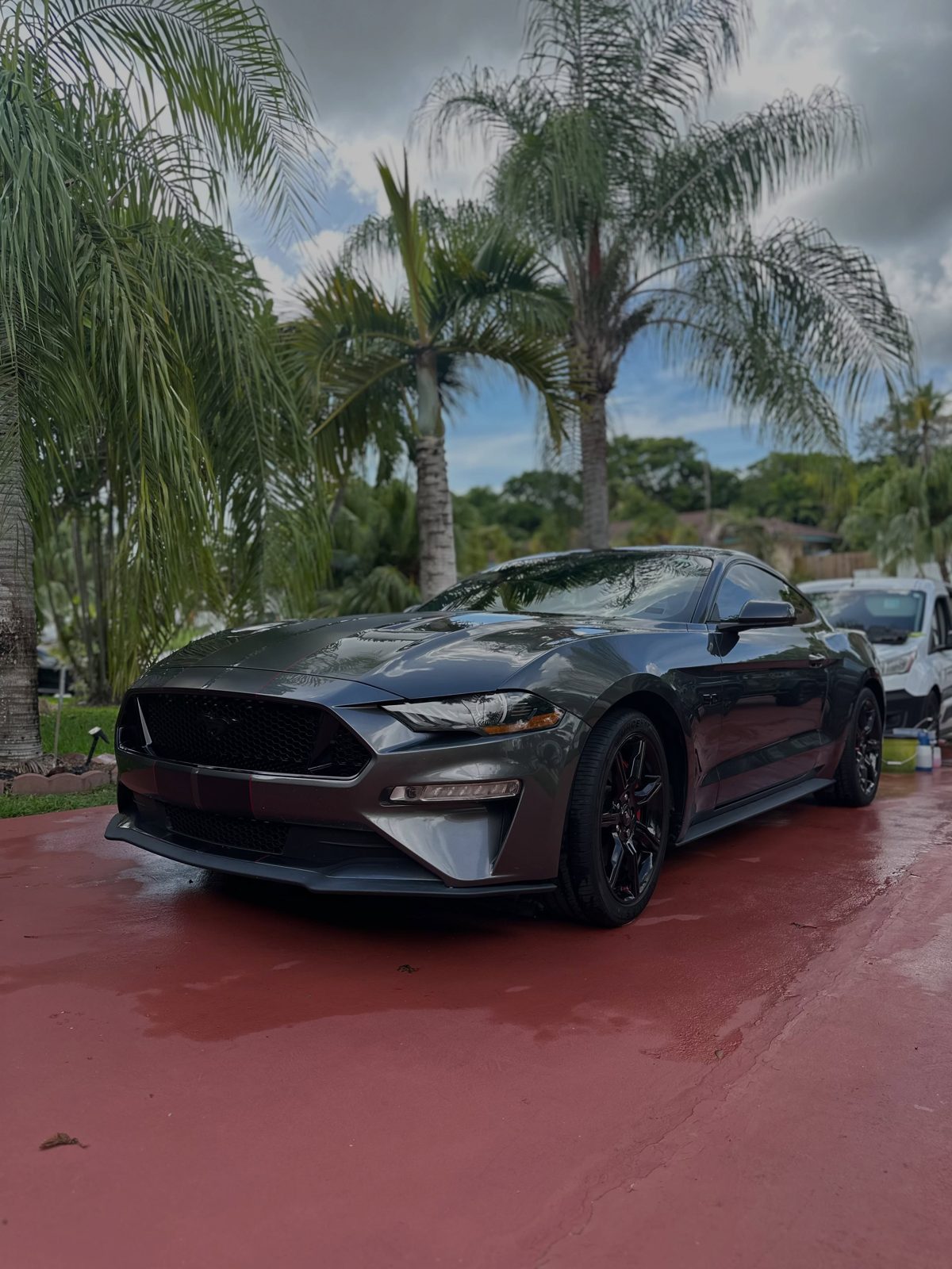 Freshly detailed Mustang in a Kendall driveway under the palms