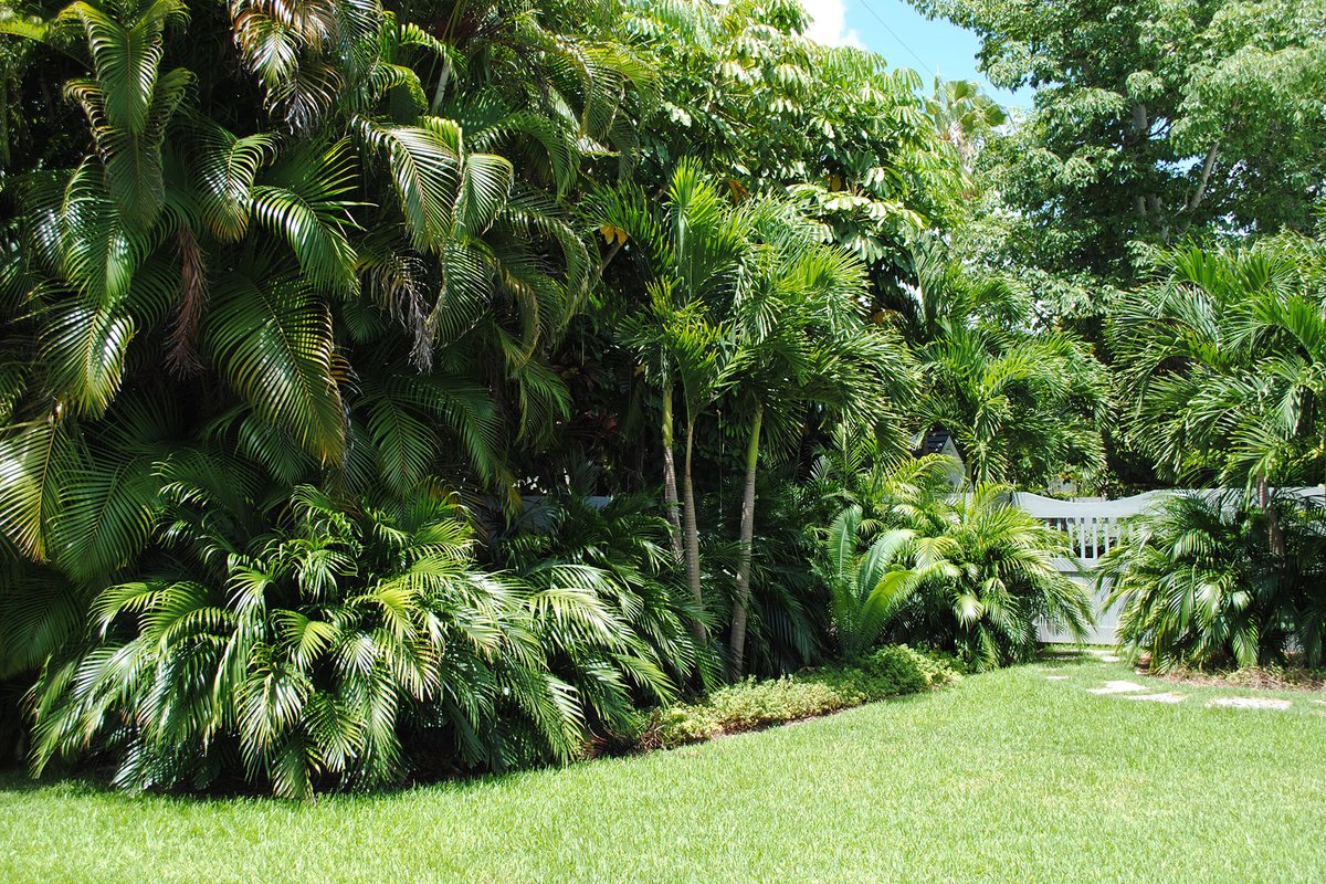 South Miami Residence