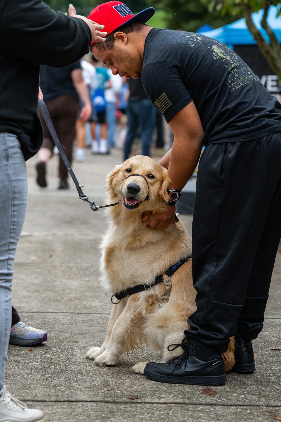 A golden retriever getting pets from a visitor at the festival